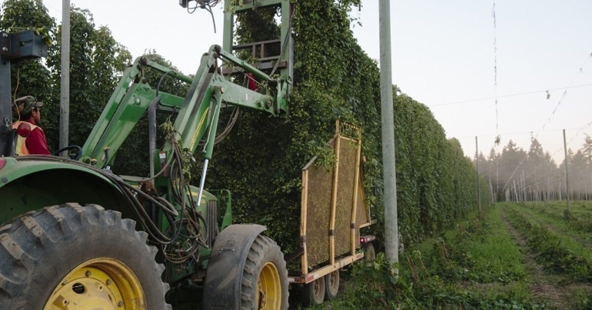 Blake Crosby Reflects on Harvest 2018