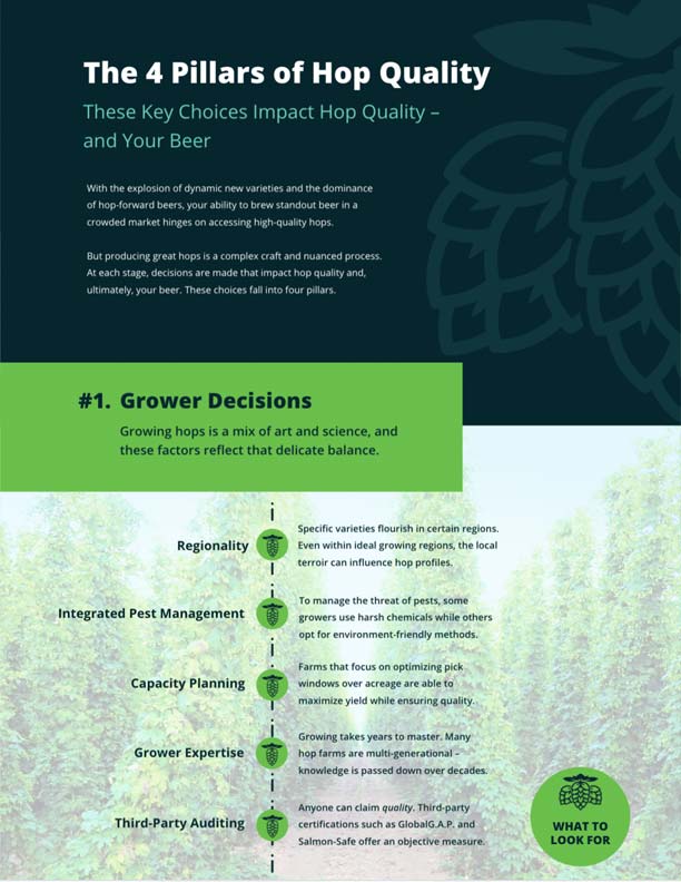 The 4 Pillars of Hop Quality